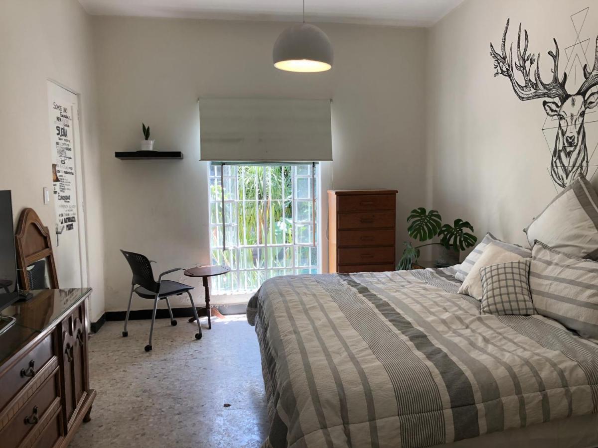 Casa Amores Apartment Mexico City Luaran gambar