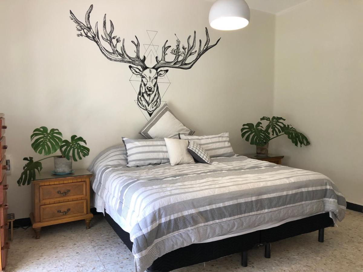 Casa Amores Apartment Mexico City Luaran gambar